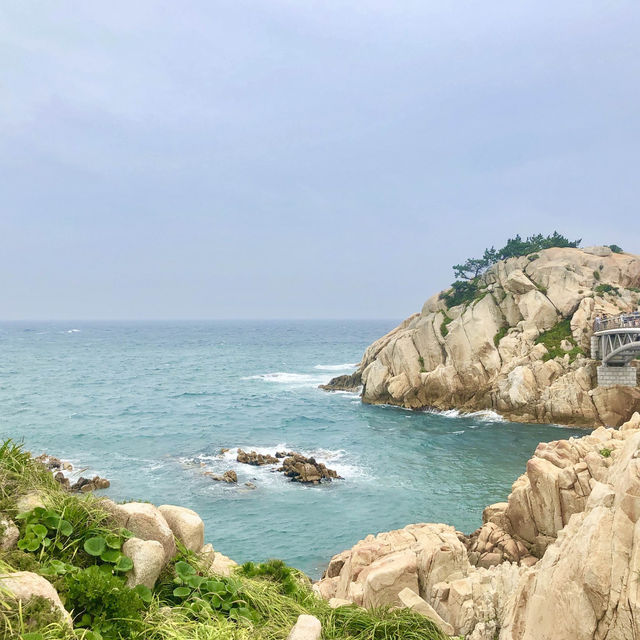 울산여행 대왕암공원 너무 멋진곳 💜 울산여행 대왕암공원 너무 멋진곳 💜
