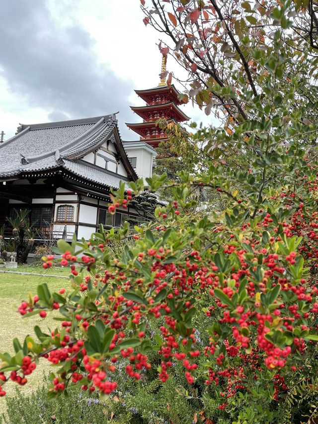 【福岡】福岡市内で寺院巡り