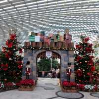 Christmas @ Flower Dome