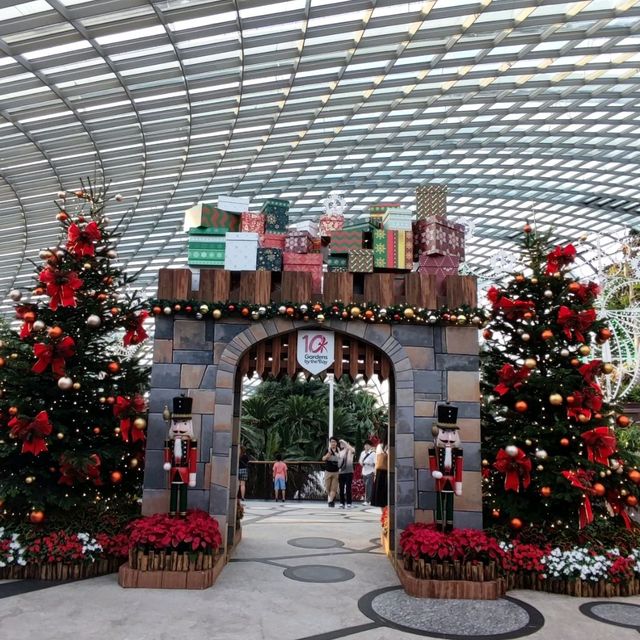 Christmas @ Flower Dome
