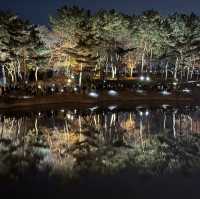 Donggung Palace and Wolji Pond night view