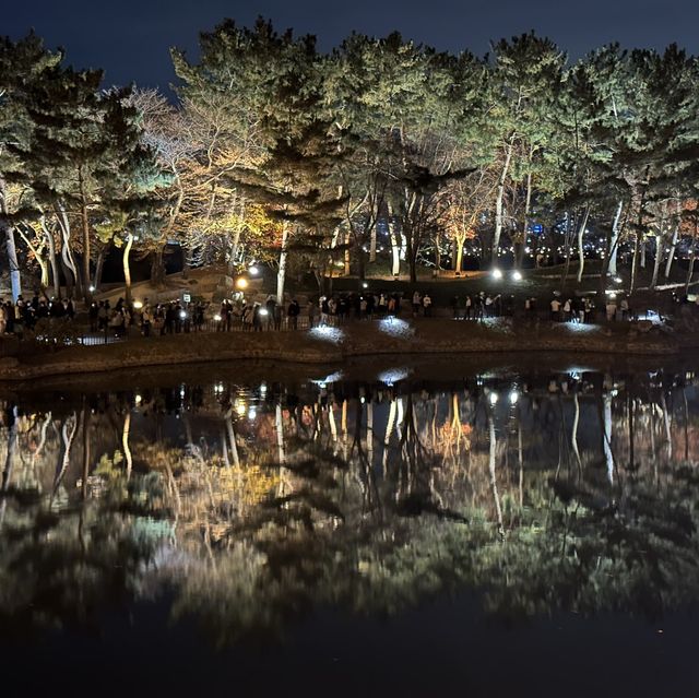Donggung Palace and Wolji Pond night view