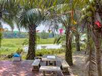 ร้านอาหารพื้นเมืองริมน้ำ จ. สุราษฎร์ธานี