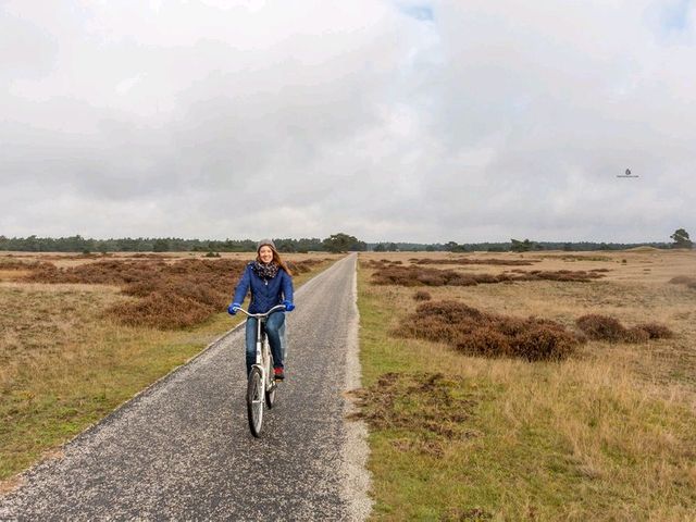 Explore Hoge Veluwe National Park