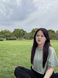 부산 피크닉&핑크뮬리 ‘을숙도’
