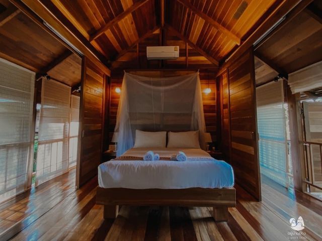 Check in Farmstay Chiangrai 🍃