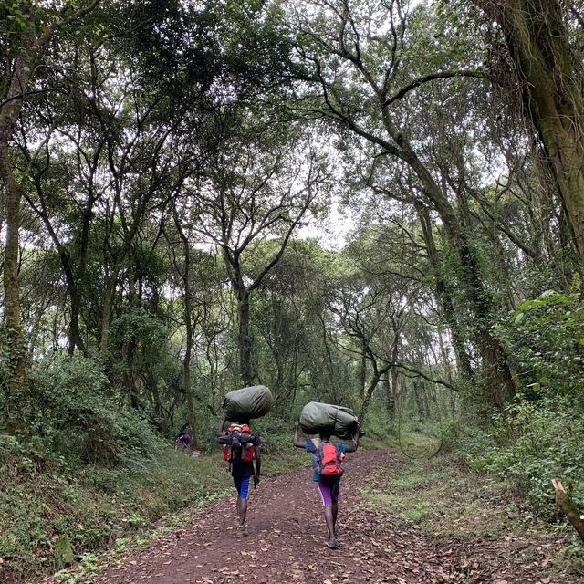 Hiking up Kilimanjaro 