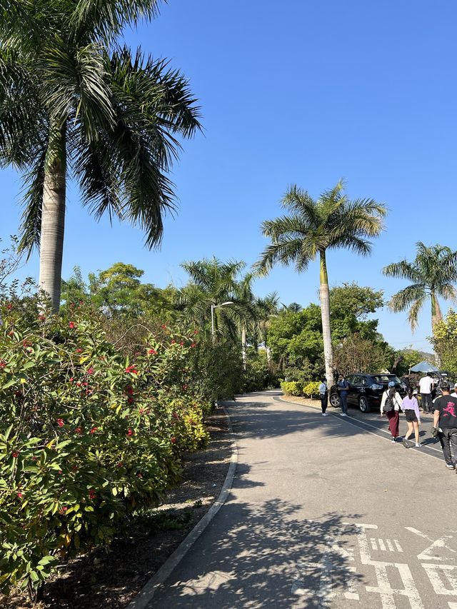 何時·河地🏞 香港遠離塵囂的風景 📍上水