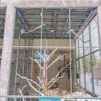 冬の円山動物園・フクロウとタカの森