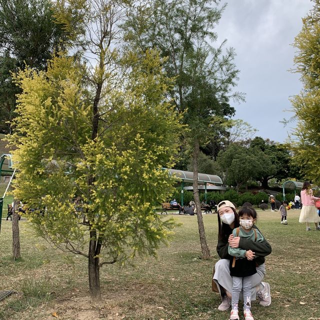 漫無目的半天小確幸 📍元朗