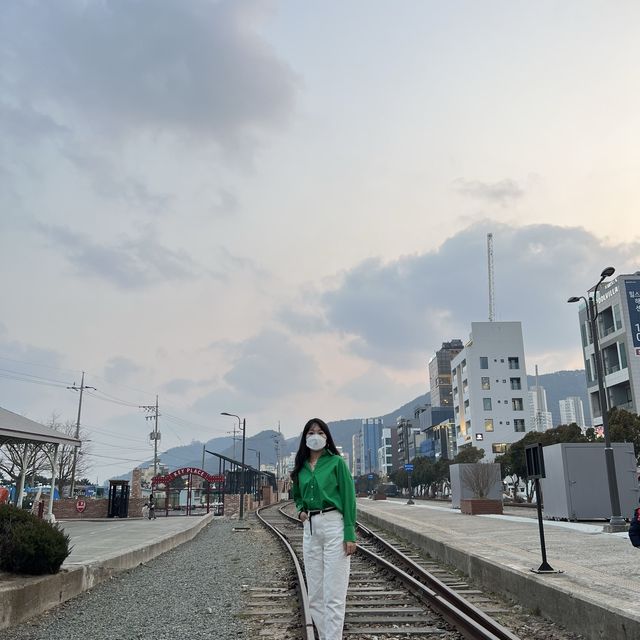 부산 송정해수욕장 블루라인파크 기차타고 구경하기