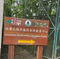由鬧市幾分鐘行到鳥語花香的山林間