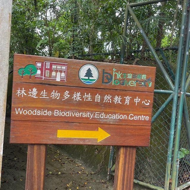 由鬧市幾分鐘行到鳥語花香的山林間