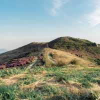 핑크물결이 넘치는 철쭉여행 , 황매산군립공원⛰