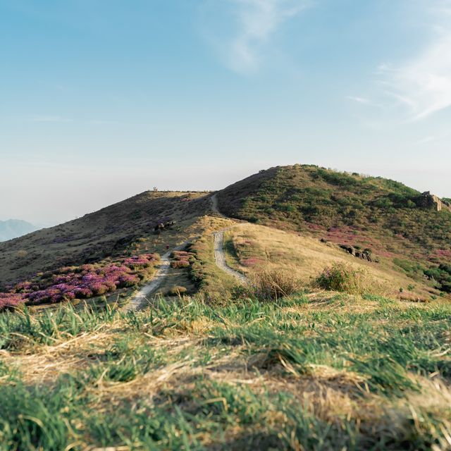 핑크물결이 넘치는 철쭉여행 , 황매산군립공원⛰