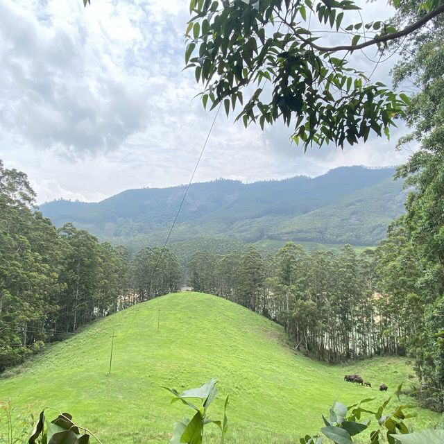 God’s own land