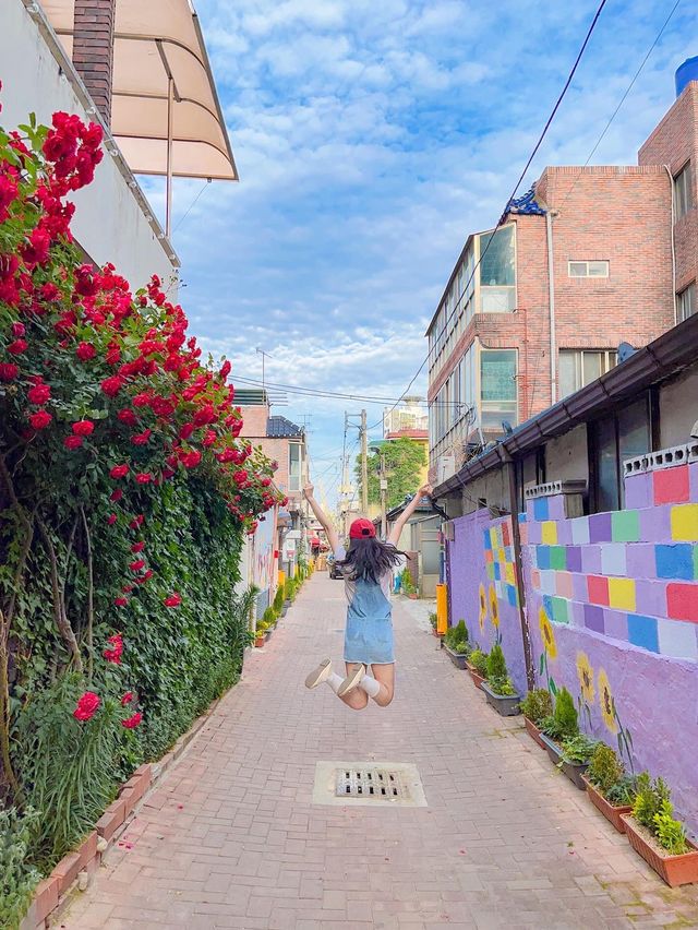 골목골목 예쁜장미담벼락이 한가득♥️