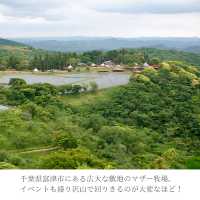 【千葉県】大人も楽しいマザー牧場