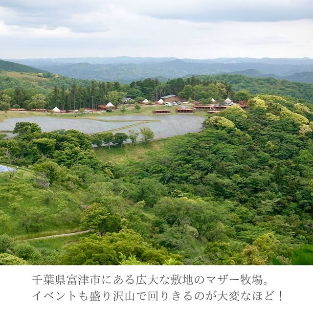 【千葉県】大人も楽しいマザー牧場