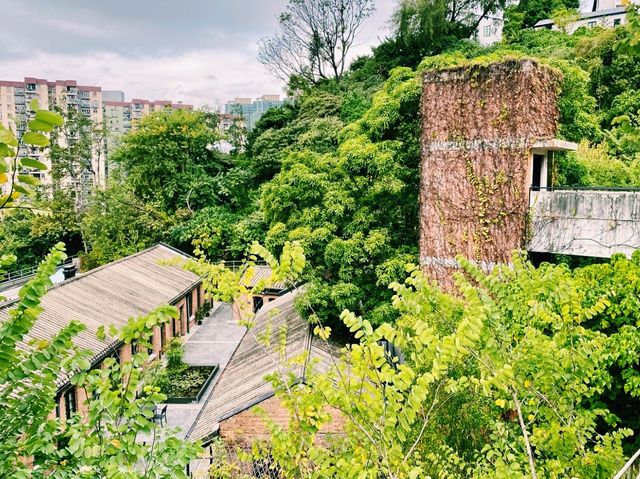 饒宗頤文化館展覽