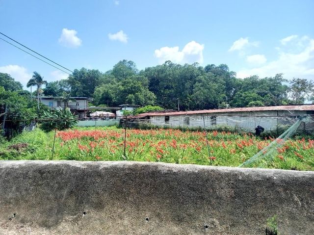 新田信芯園農莊