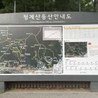 [등산 초보도 완등 가능 ] 서울 등산하기 좋은 산 추천  청계산 