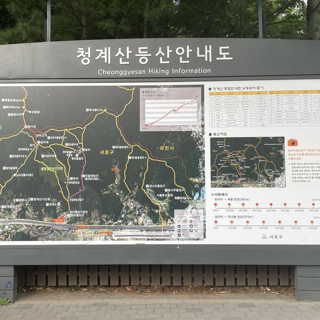 [등산 초보도 완등 가능 ] 서울 등산하기 좋은 산 추천  청계산 
