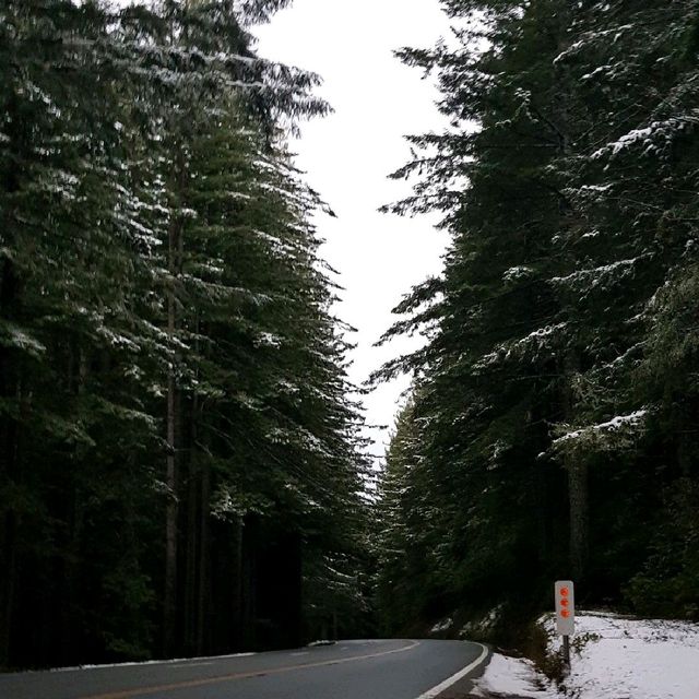 Roadtripping From Sanfranisco - Seattle
