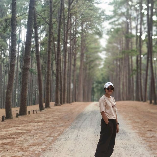 เที่ยวเชียงใหม่แบบสายธรรมชาติ