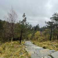 ulriken bergen