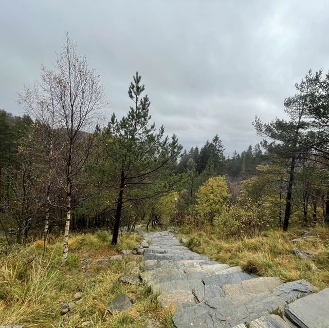 ulriken bergen