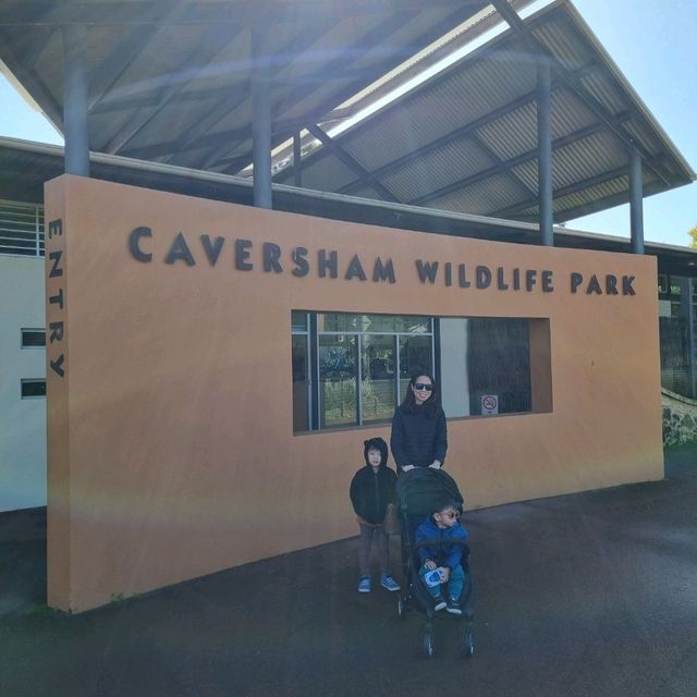 Kids Love Caversham Wildlife Park