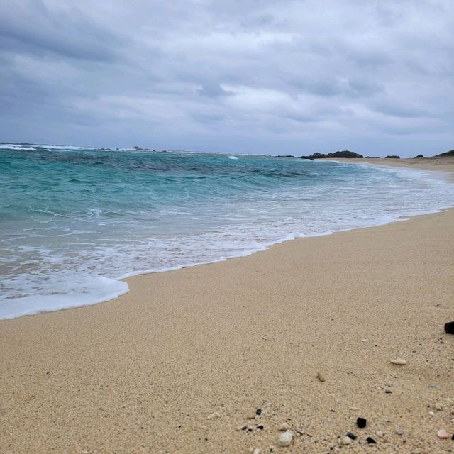 【奄美大島】土盛海岸