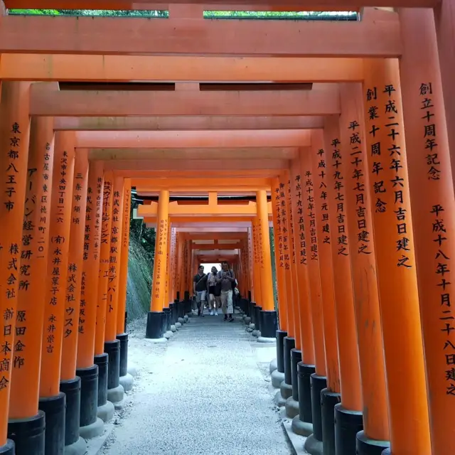 무비자로 풀린 지금 일본여행을 떠나보자