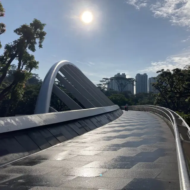 brisk walk from Alexander Trail to Mt Faber