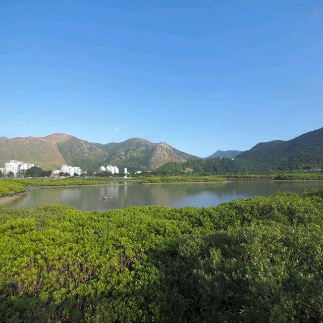 大嶼山二澳村綠山田園