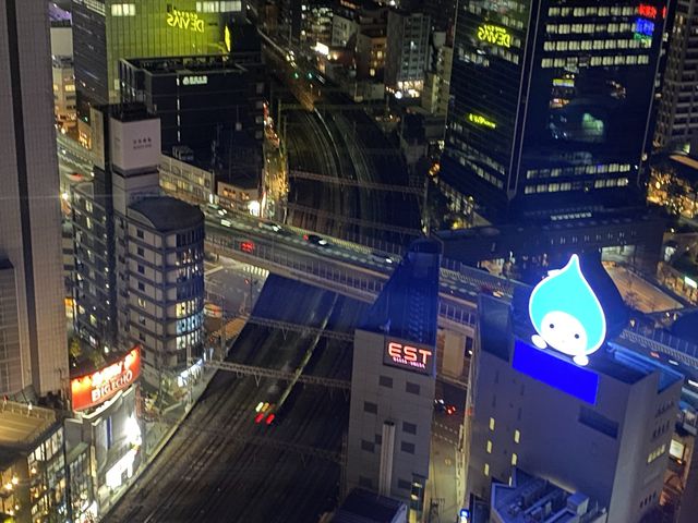 大阪・梅田の赤い観覧車に乗ってみた。