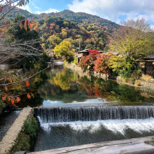 そうだ、京都に行こう❗【嵐山】✨