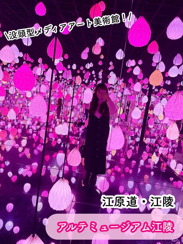 【江原道・江陵】映え写真撮るならここ！アルテミュージアム江陵