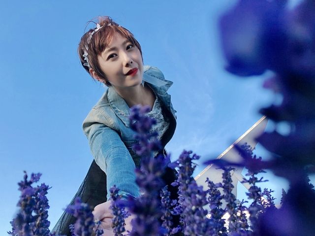 臺中后里 市郊人氣後花園 中社觀光花市花海