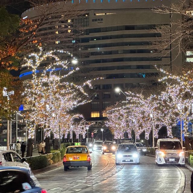【横浜】みなとみらい桜並木のイルミネーション 【横浜】みなとみらい桜並木のイルミネーション
