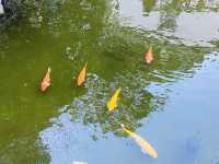 公園尋古蹟大屋@德華公園