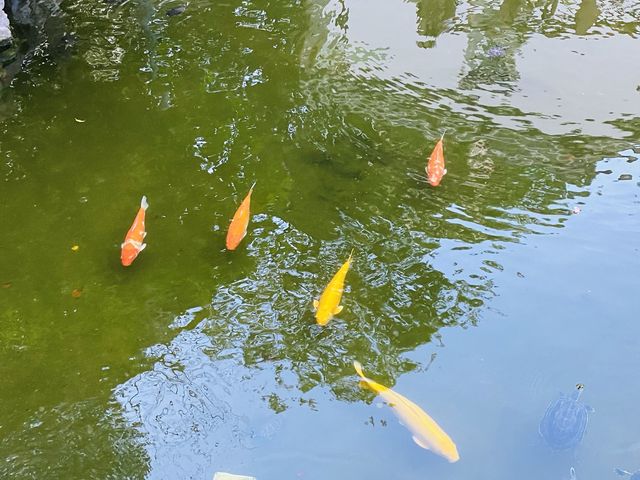 公園尋古蹟大屋@德華公園