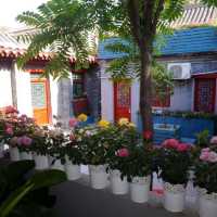 SonGy Hundred-year Courtyard Hotel