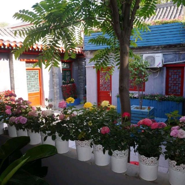 SonGy Hundred-year Courtyard Hotel