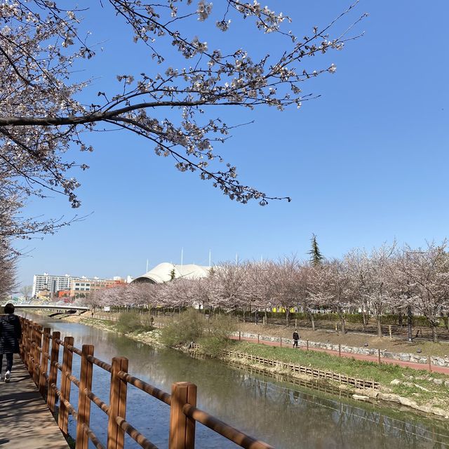 봄 산책코스로 최고! 서부간선수로