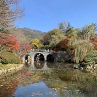 11월 단풍 구경하기 좋은 여행지, 경주 불국사