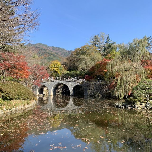 11월 단풍 구경하기 좋은 여행지, 경주 불국사 11월 단풍 구경하기 좋은 여행지, 경주 불국사