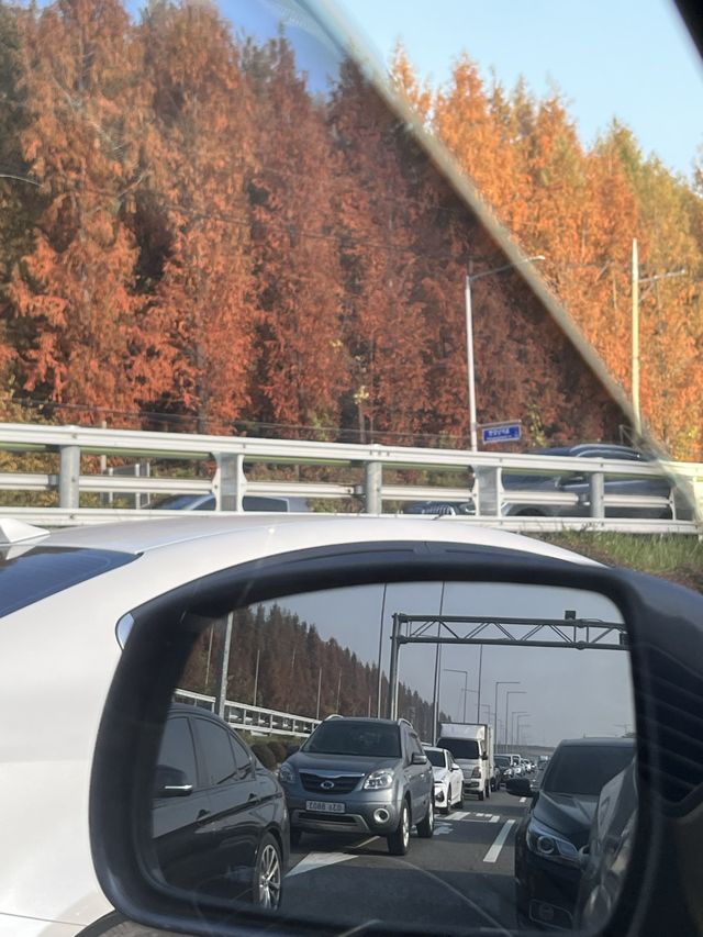 늦가을 초겨울에 떠나는 여행! 국내 서산여행