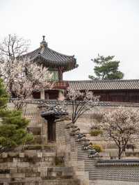 한옥과 꽃을 조화는 사랑이죠❣️